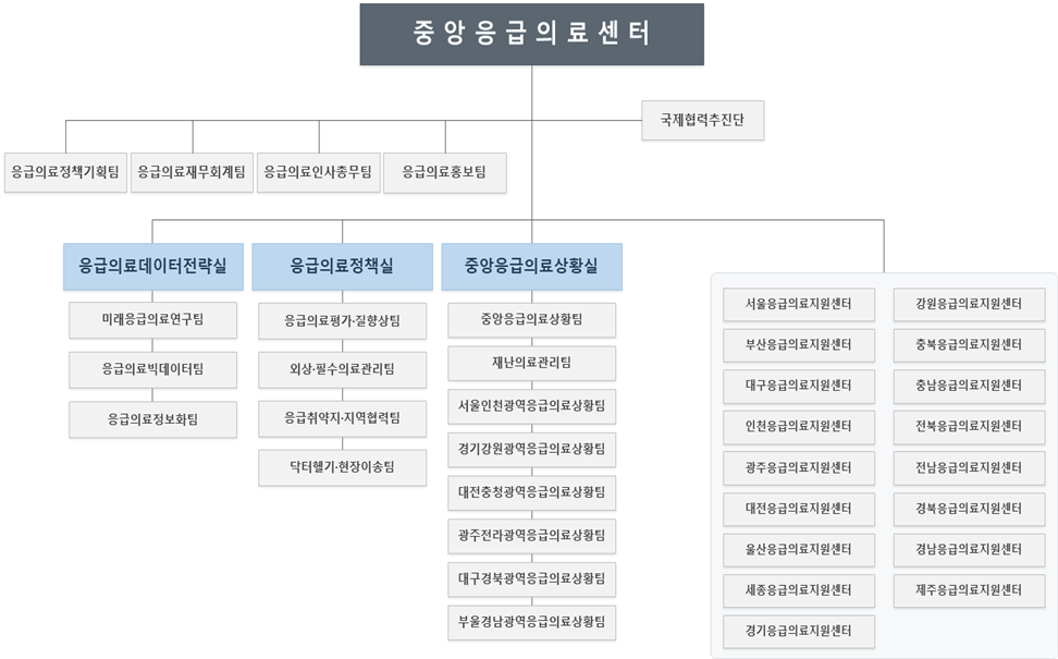 중앙응급의료센터 조직도